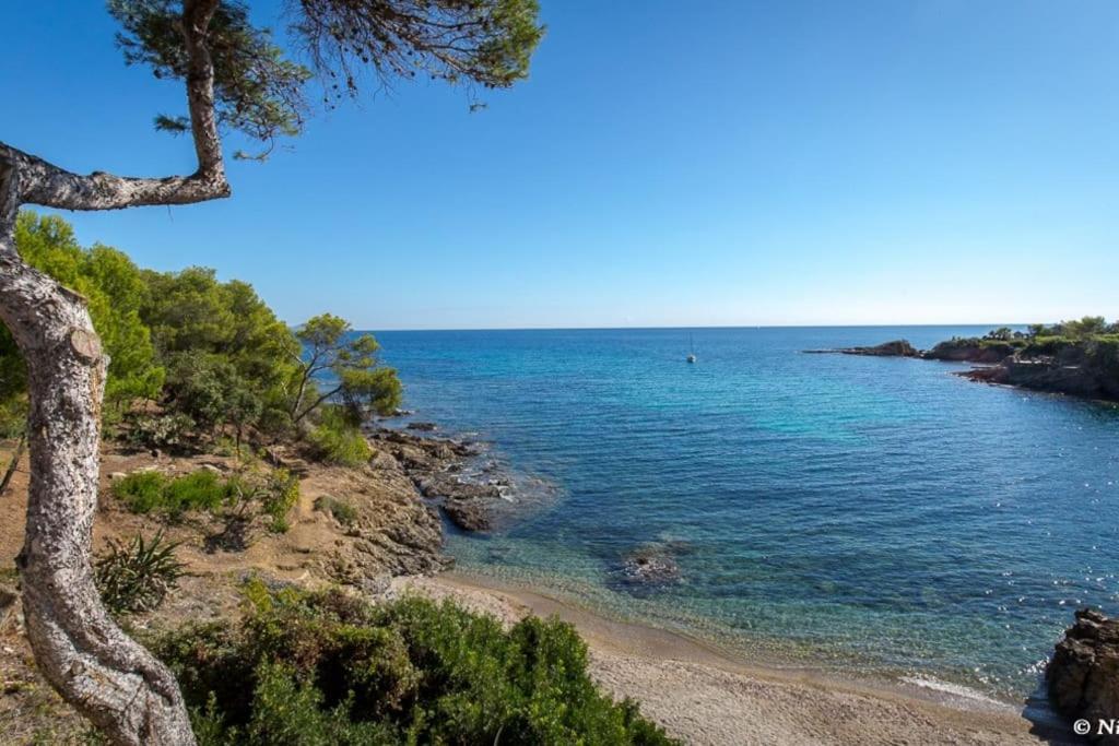 Roquebrune-Sur-Argens, Villa 2 Pieces, 4 Personnes Εξωτερικό φωτογραφία